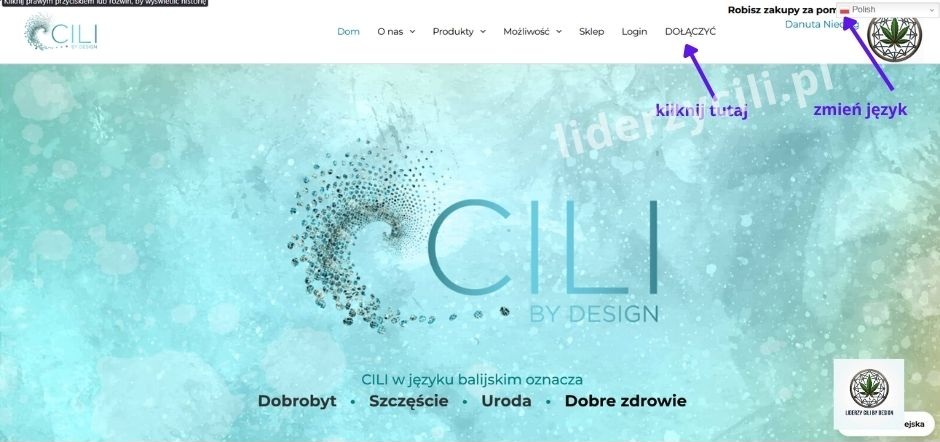 jak założyć konto w CILI By Design